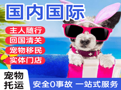 蓬莱航空快递国际宠物托运 【国